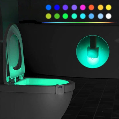 Backlight For Toilet Bowl WC Toilet