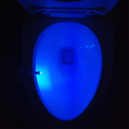 Backlight For Toilet Bowl WC Toilet